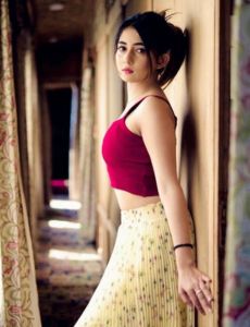 escort service in Ludhiana