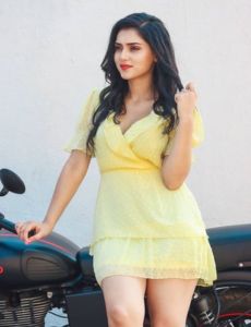 Ludhiana call girls