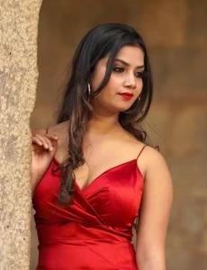 call girl service in Ludhiana